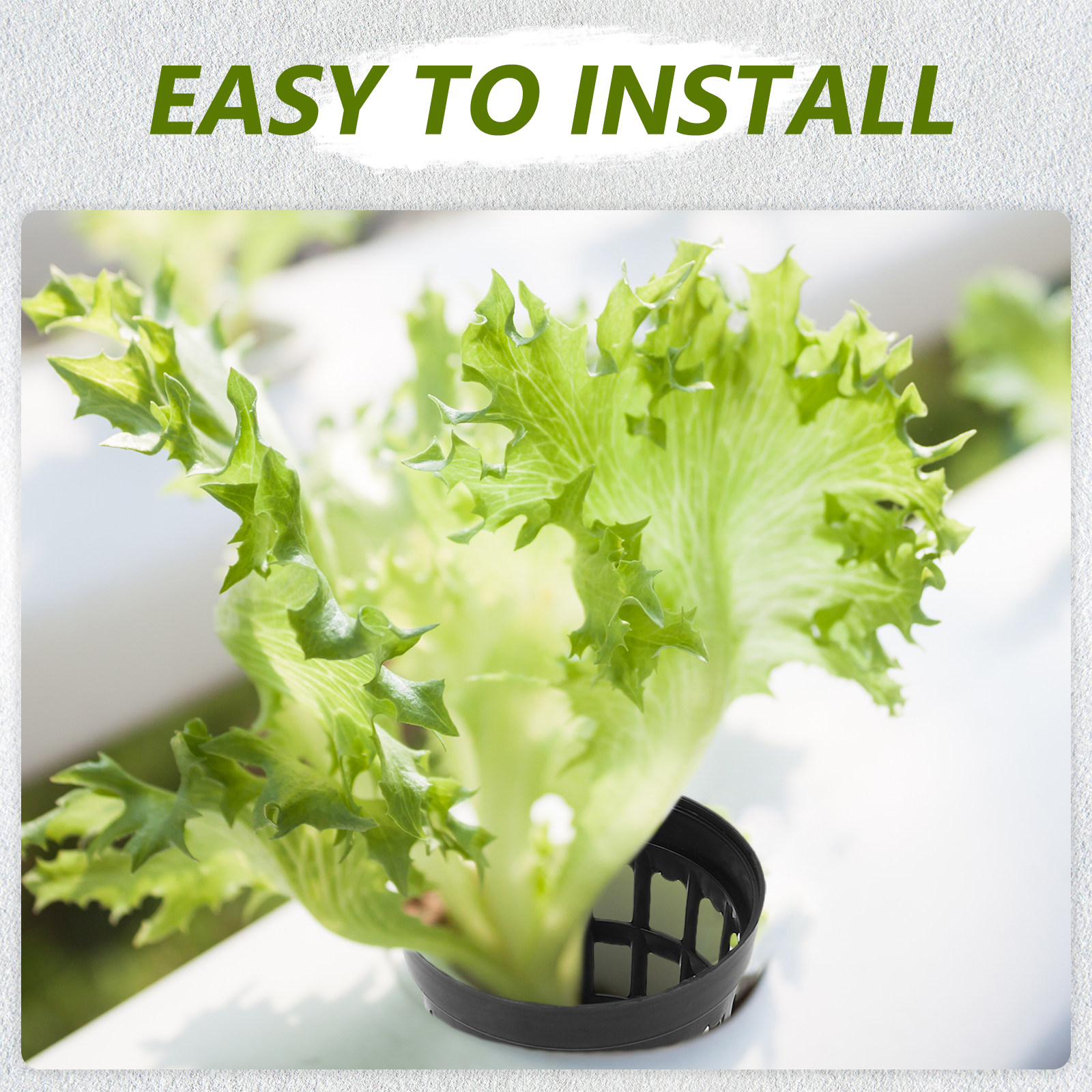 Aquarium Plant Original - 40Pcs Aquarium Plant Holder Plastic Mesh