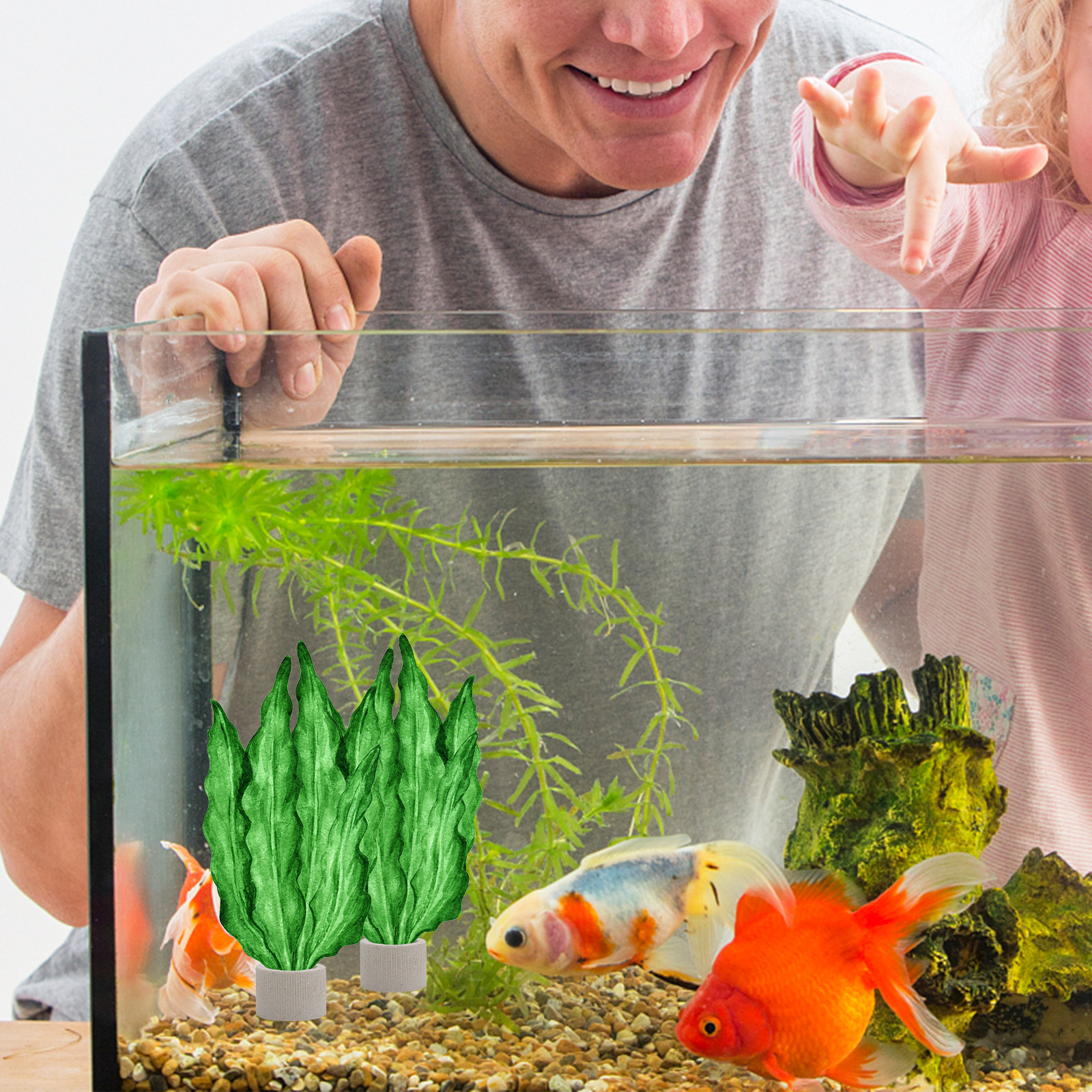 Aquarium Plant Original - 5Pcs Premium Pottery Water Plant Fixed