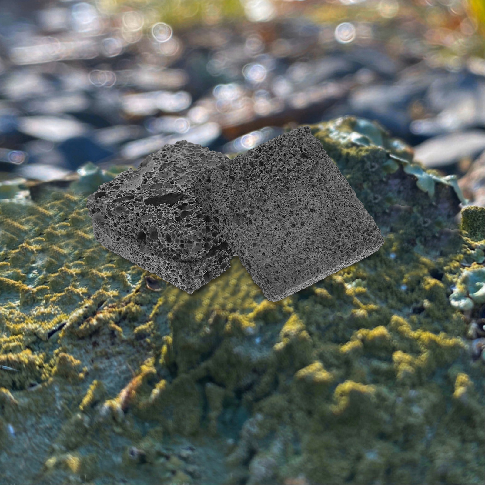 Planted Aquarium Anubias - 3Pcs Volcanic Rock Aquascaping Pieces for