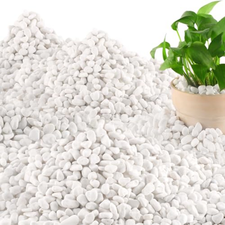 Planted Aquarium With Gravel - Garden landscaping and aquarium use: natural