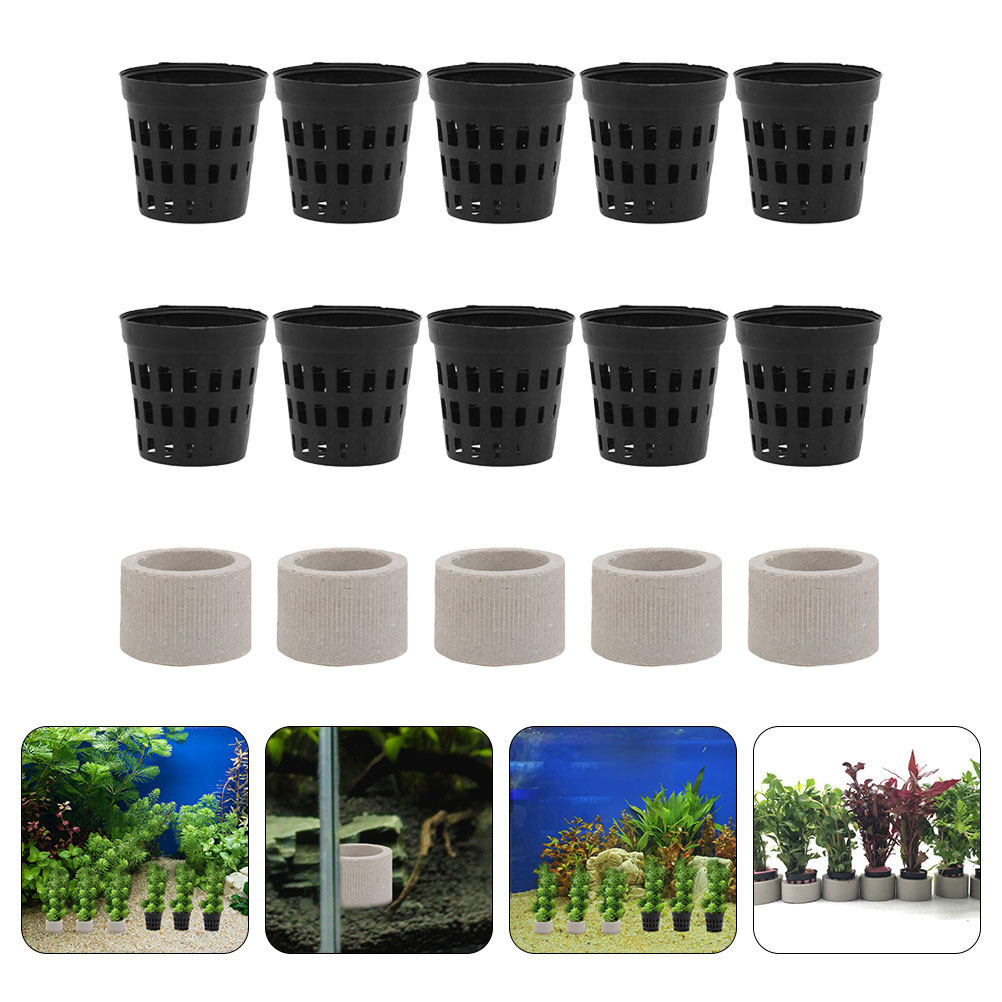 1Set Aquarium Water Plant Fixi – Aquarium Planted Setup Bewertung und Preis