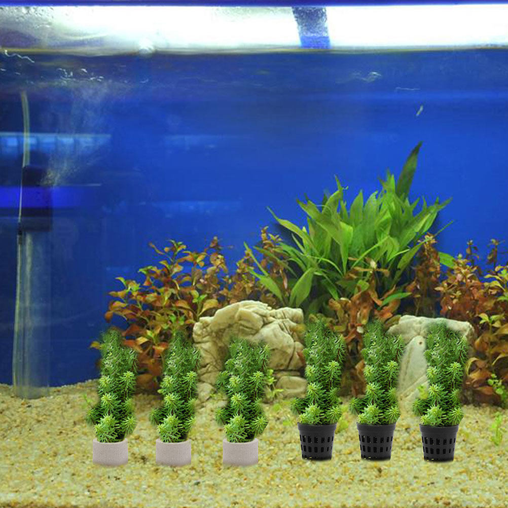 1Set Aquarium Water Plant Fixi – Aquarium Planted Setup Bewertung und Preis