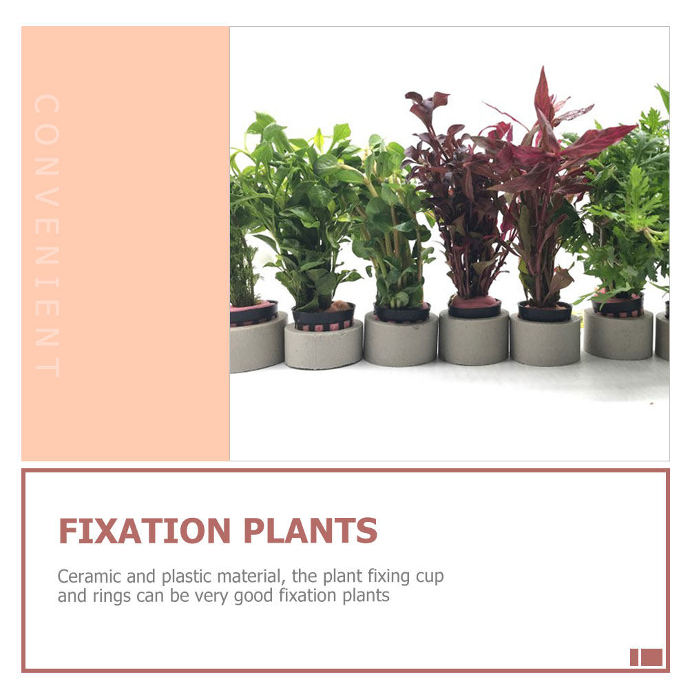 1Set Aquarium Water Plant Fixi – Aquarium Planted Setup Bewertung und Preis