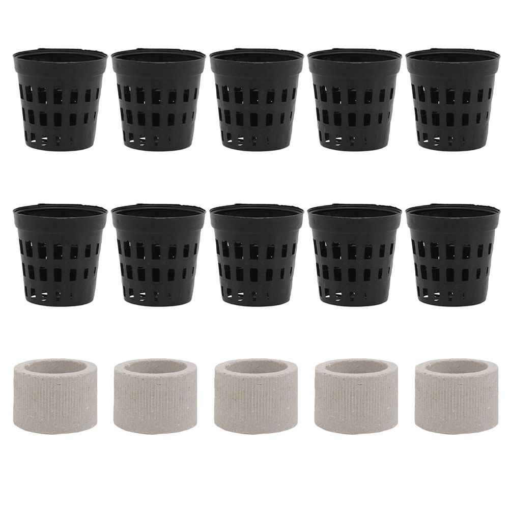 1Set Aquarium Water Plant Fixi – Aquarium Planted Setup Bewertung und Preis