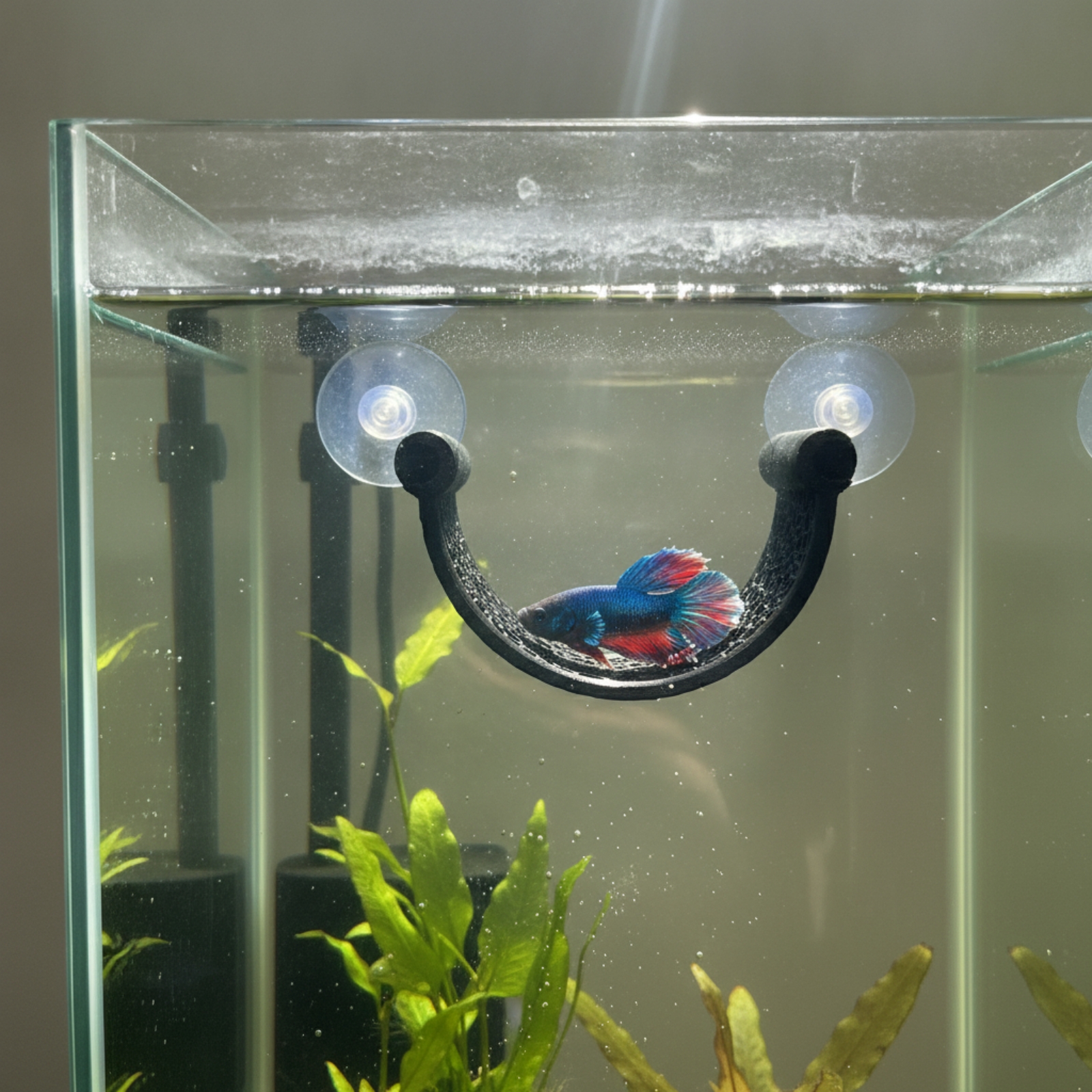 Betta Aquatic Resting Perch Sp – Aquarium Planted Setup Bewertung und Preis