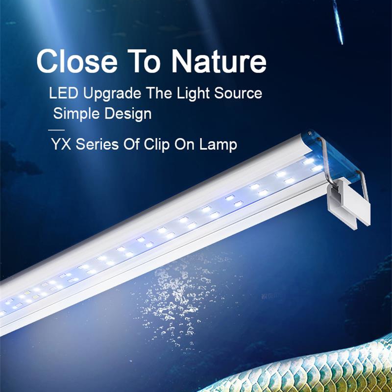 Extensible Waterproof Clip on  – Aquarium Plant Iron Bewertung und Preis