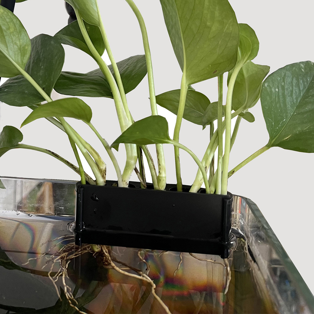 1-3Pcs Aquarium Plant Support  – Aquarium Planted Tank Substrate Bewertung und Preis
