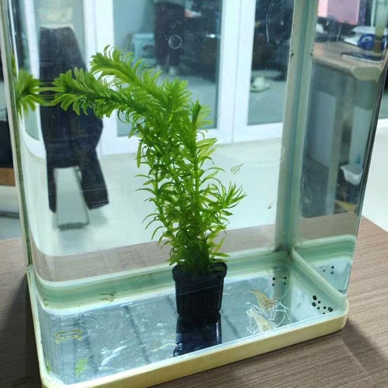 4Pcs Pet Fish Tank Landscaping – Aquarium Plant Original Bewertung und Preis