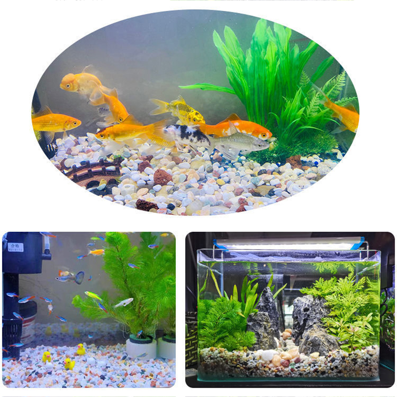5mm Natural Aquarium Sand 200g – Aquarium Planted Tank Substrate Bewertung und Preis