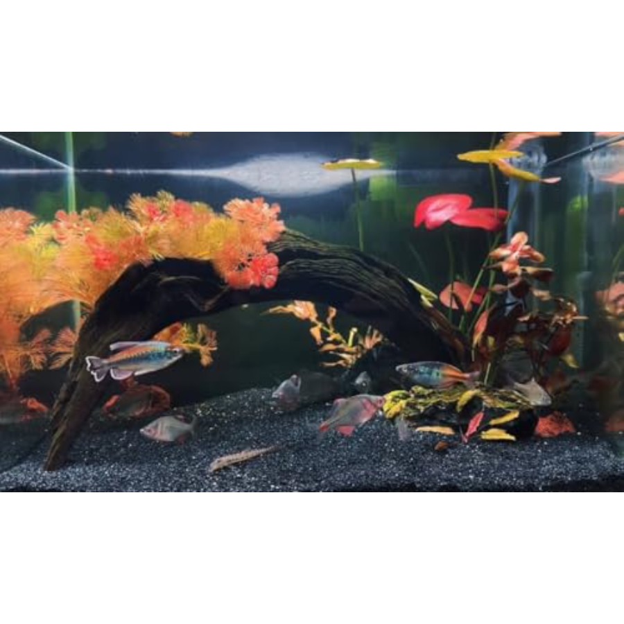 Aquarium Sand, 0 Fish Tank San – Planted Aquarium With Gravel Bewertung und Preis
