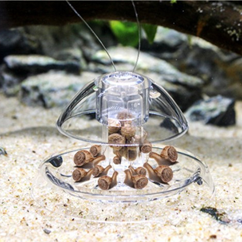 1PCS Fish Tank Aquarium Cleane – Planted Aquarium Tools Bewertung und Preis
