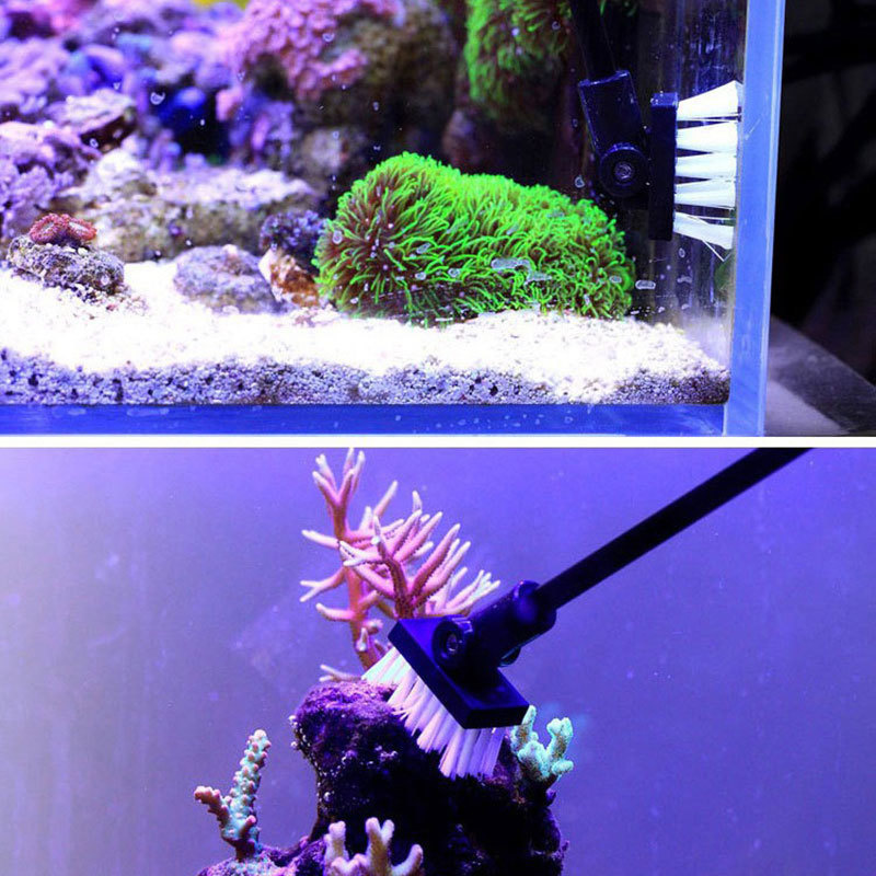 Fishing Cleaning Brush Plant T – Planted Aquarium Tools Bewertung und Preis