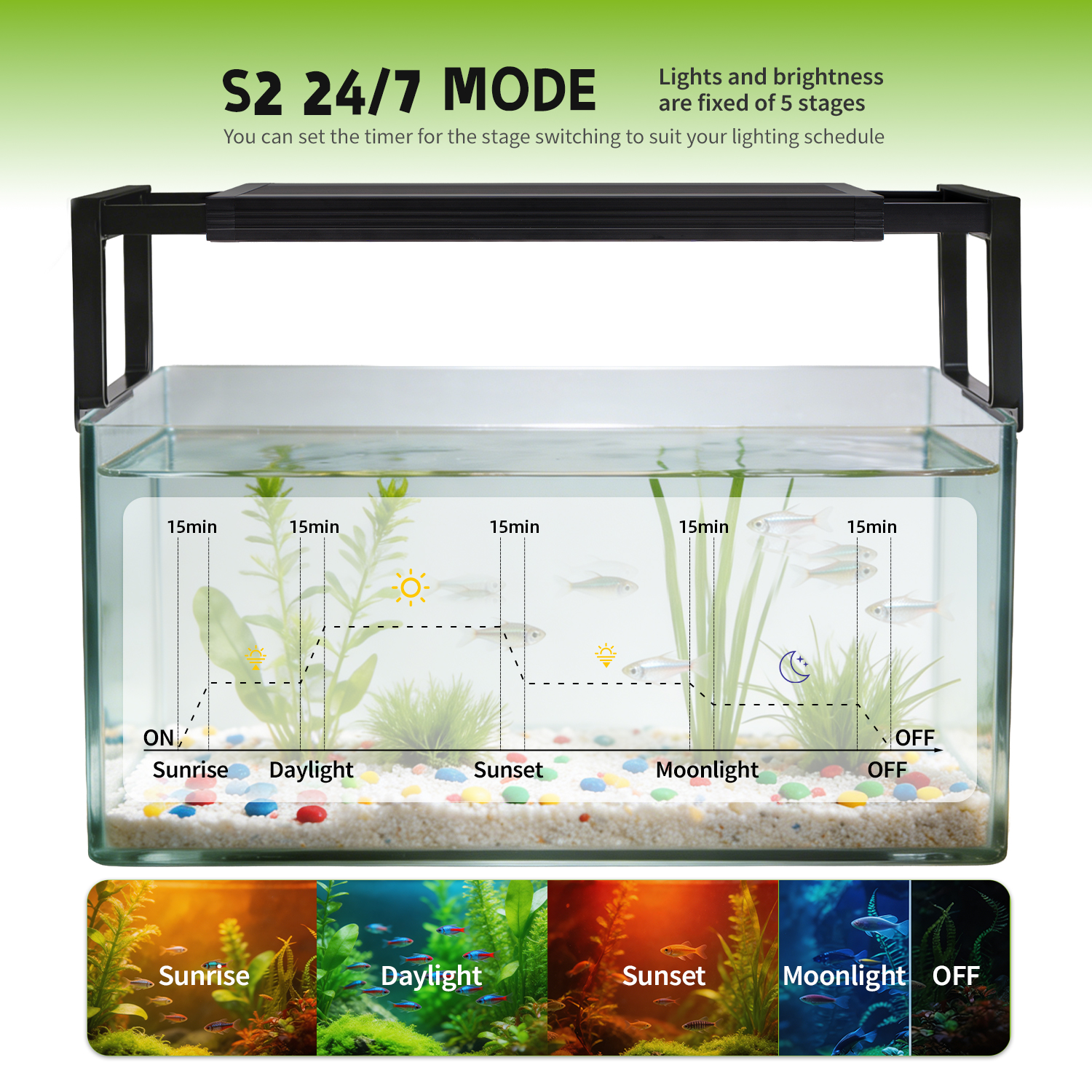 24-42 Inch Fish Tank 24/7 Full – Planted Aquarium Hanging Light Bewertung und Preis