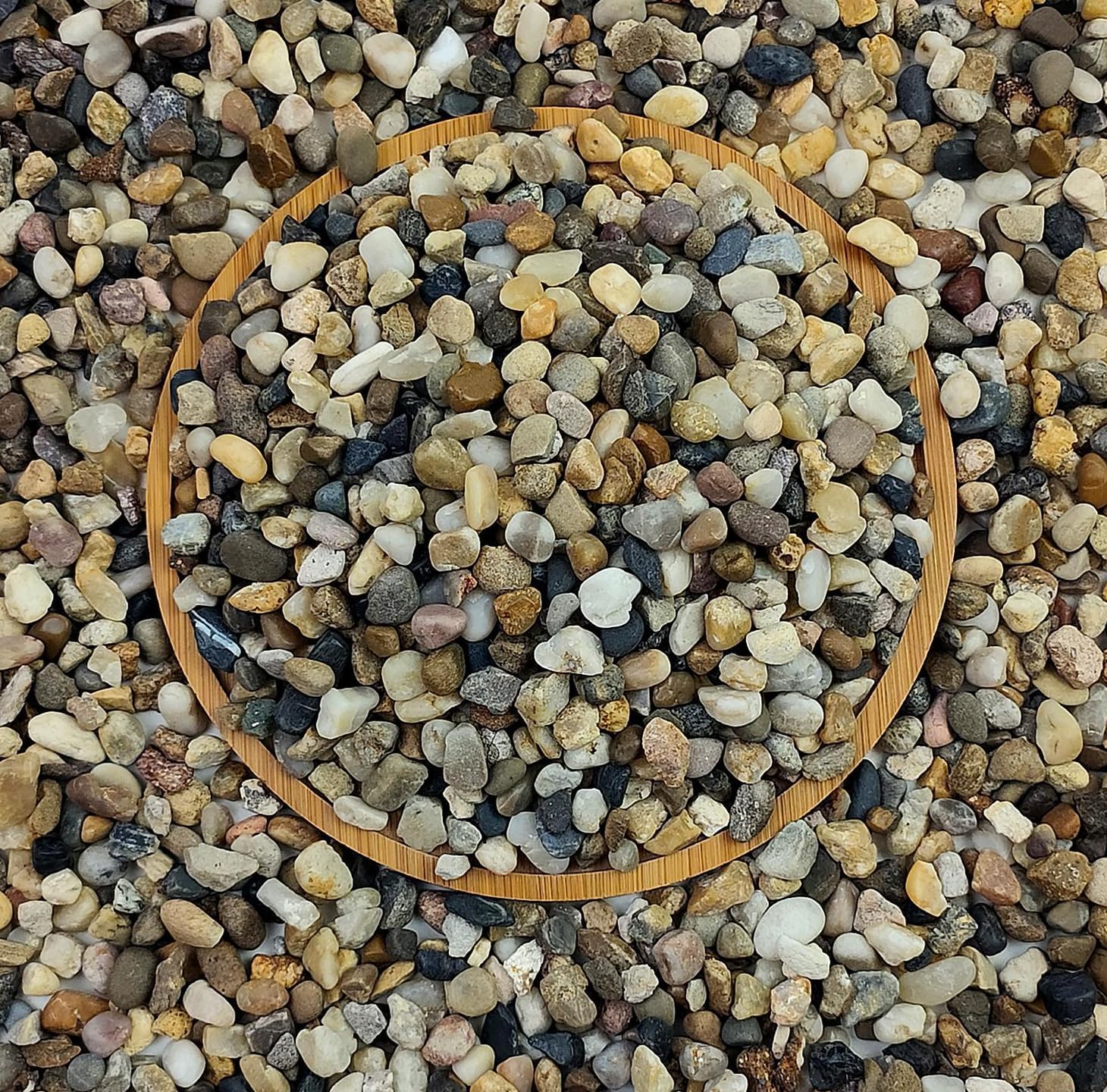 5 lbs Aquarium Gravel, Pea Gra – Planted Aquarium With Gravel Bewertung und Preis
