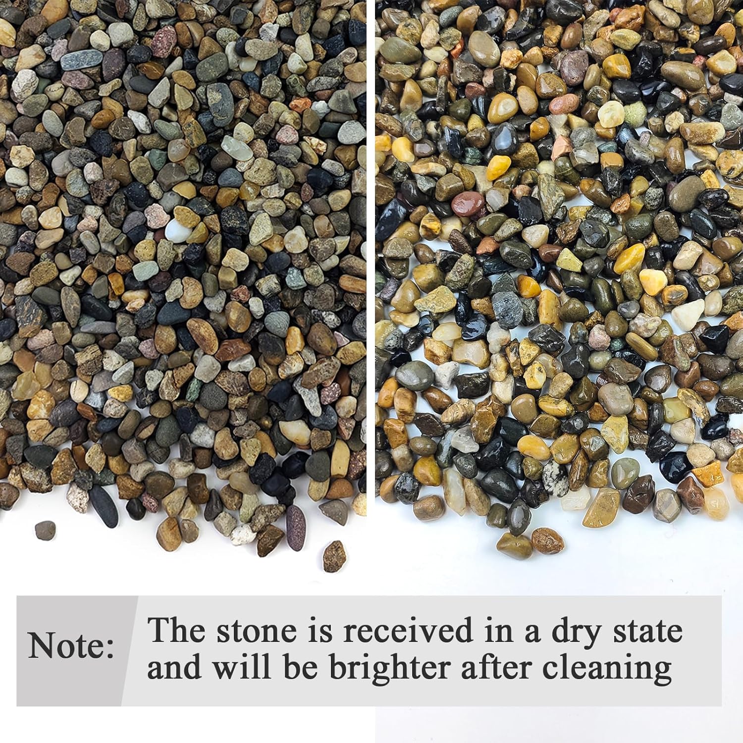 5 lbs Aquarium Gravel, Pea Gra – Planted Aquarium With Gravel Bewertung und Preis