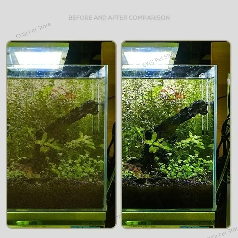 Fish Tank Cleaning Tool Flat S – Planted Aquarium Tools Bewertung und Preis