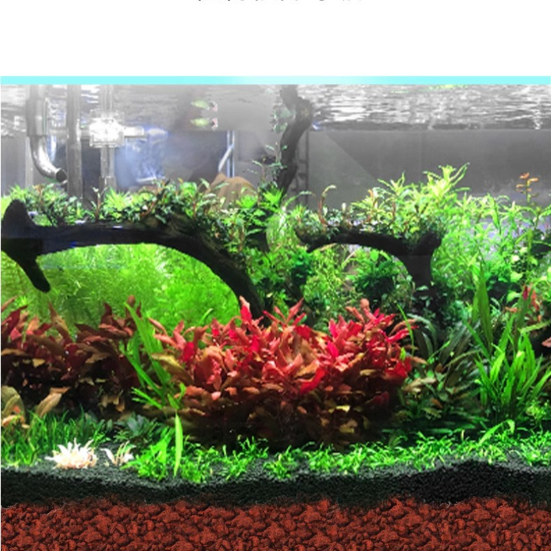 BESSN Volcanic Rock Aquarium S – Aquarium Planted Tank Substrate Bewertung und Preis