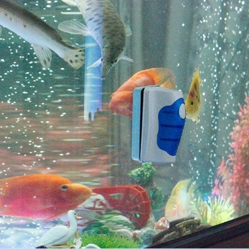 Fish Tank Glass Scraper Cleane – Planted Aquarium Tools Bewertung und Preis