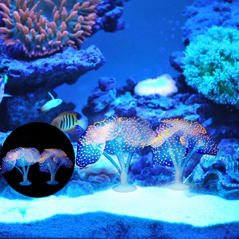 1Pcs Luminous Anemone Artifici – Aquarium Plant Grass Bewertung und Preis