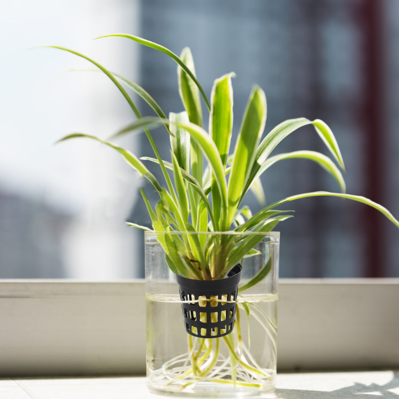 40Pcs Aquarium Plant Holder Pl – Aquarium Plant Original Bewertung und Preis