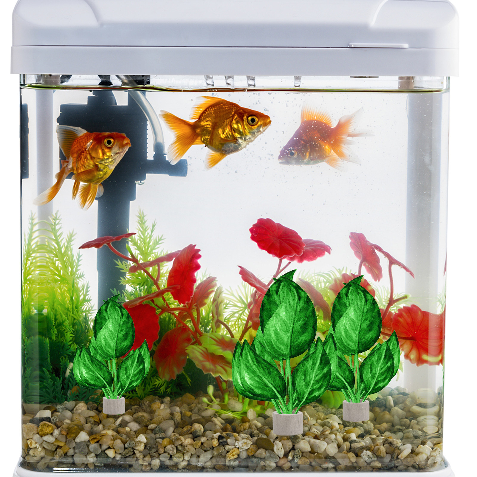 5Pcs Premium Pottery Water Pla – Aquarium Plant Original Bewertung und Preis