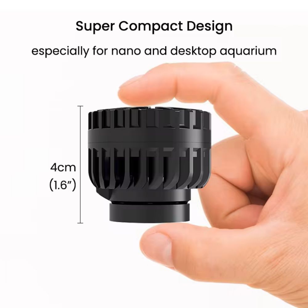 ZKSJ Third generation Mini Sli – Aquarium Plant Iron Bewertung und Preis