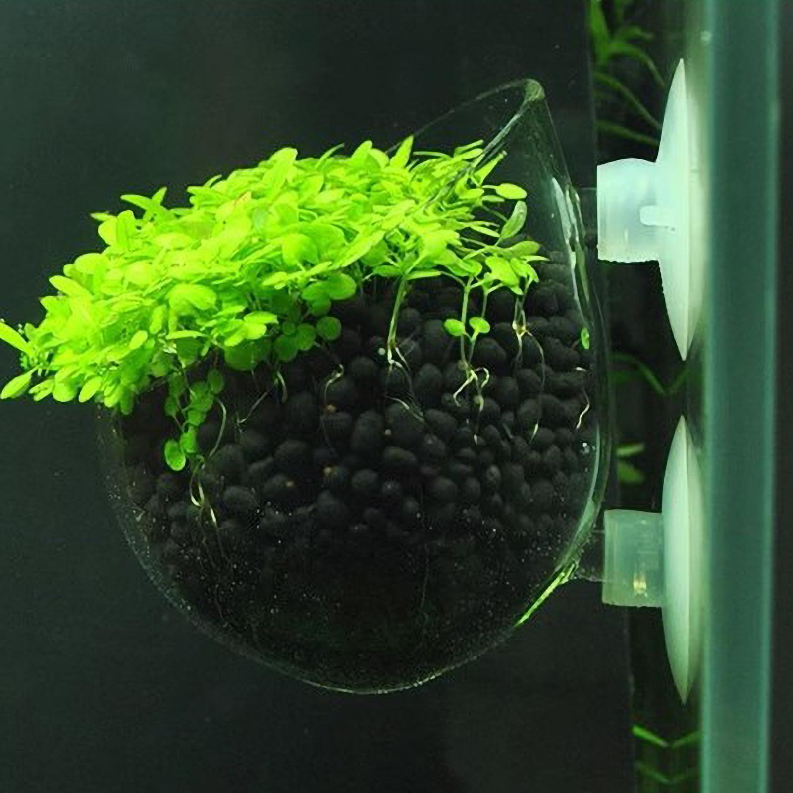 Aquarium Glass Plant Pot with  – Aquarium Planted Tank Substrate Bewertung und Preis