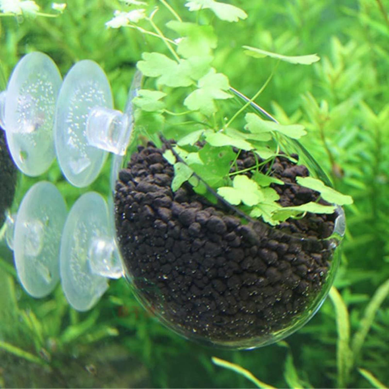 Aquarium Glass Plant Pot with  – Aquarium Planted Tank Substrate Bewertung und Preis
