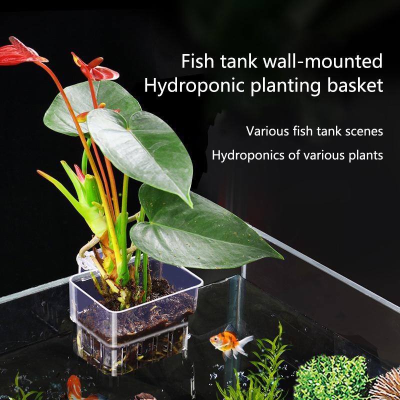 Aquarium Hydroponic Planting C – Aquarium Planted Setup Bewertung und Preis