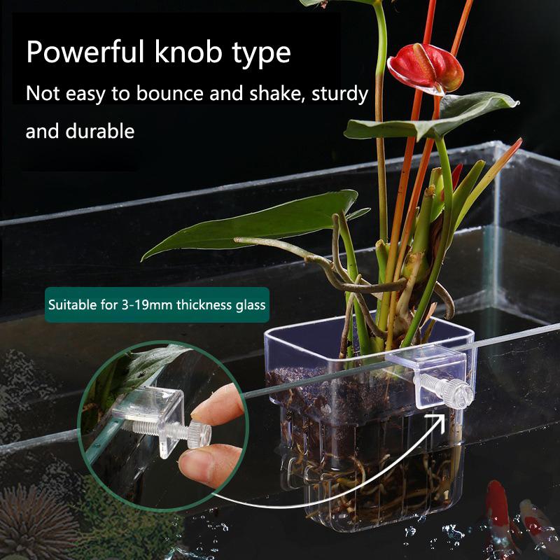 Aquarium Hydroponic Planting C – Aquarium Planted Setup Bewertung und Preis