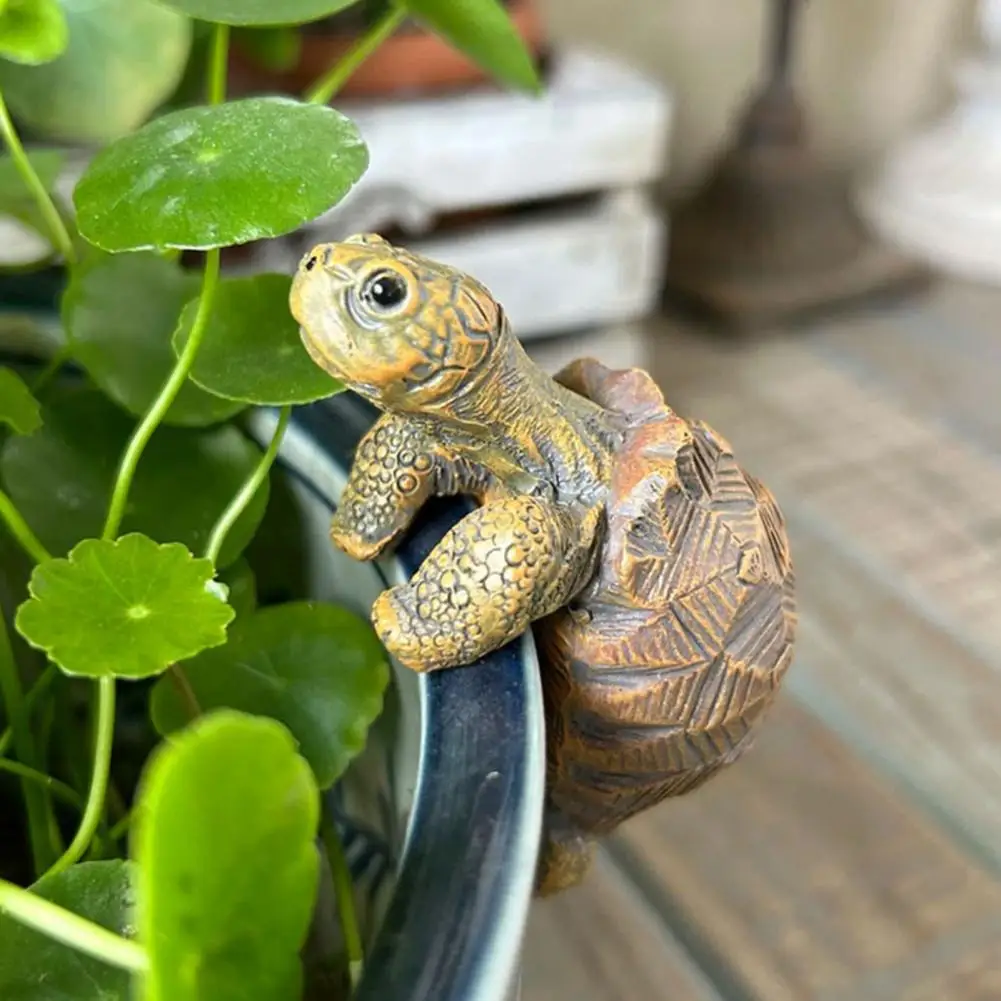 Fishing Turtle Hanging Turtle  – Aquarium Plant Original Bewertung und Preis