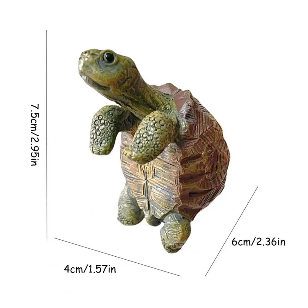 Fishing Turtle Hanging Turtle  – Aquarium Plant Original Bewertung und Preis