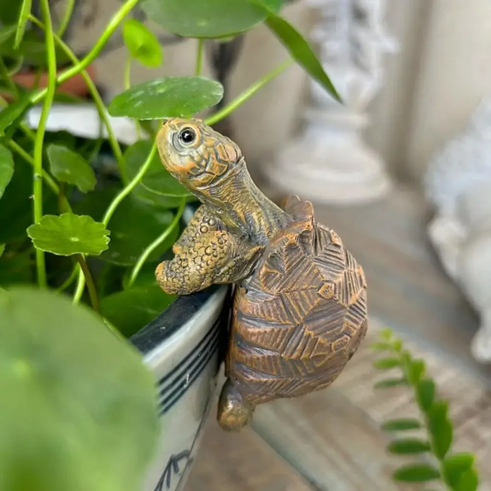 Fishing Turtle Hanging Turtle  – Aquarium Plant Original Bewertung und Preis