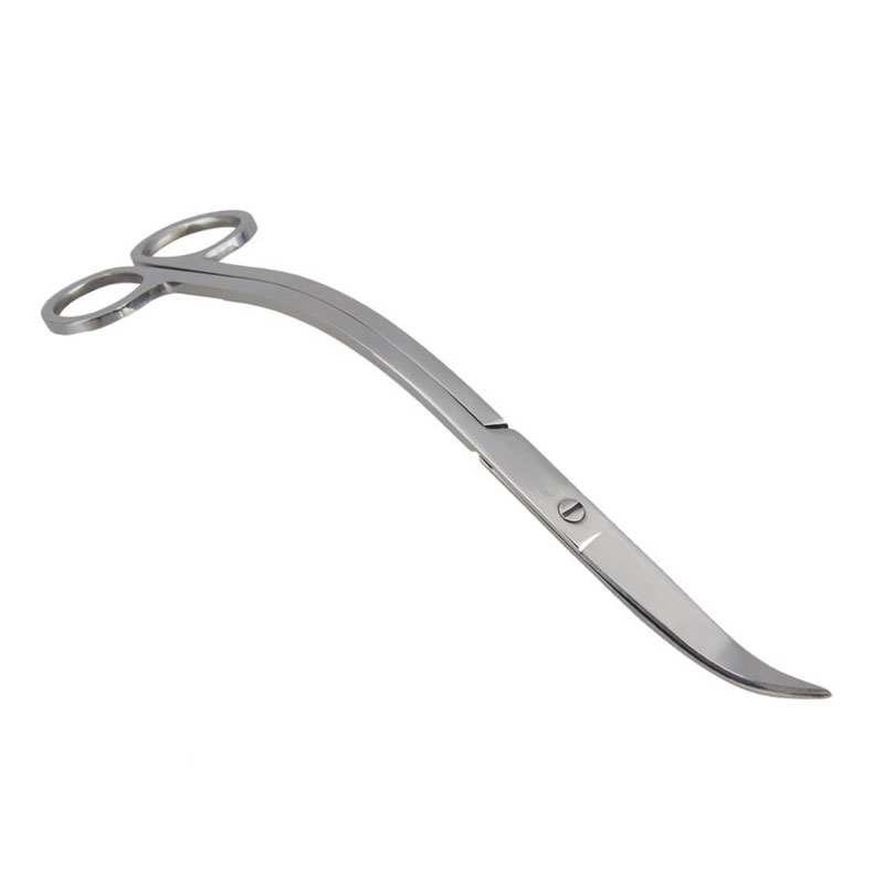 Aquarium Scissor Tools Fish Ta – Aquarium Plant Grass Bewertung und Preis