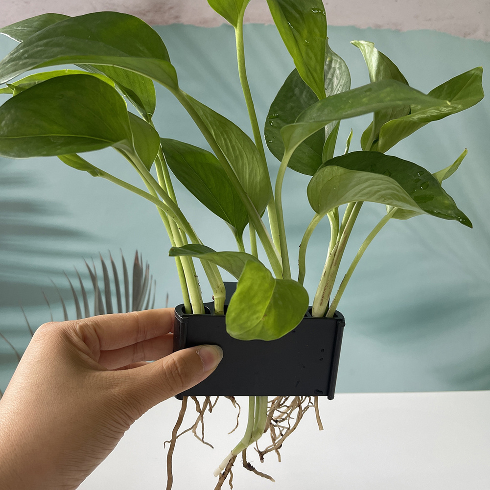 Aquarium Plant Holder with Han – Aquarium Planted Tank Substrate Bewertung und Preis