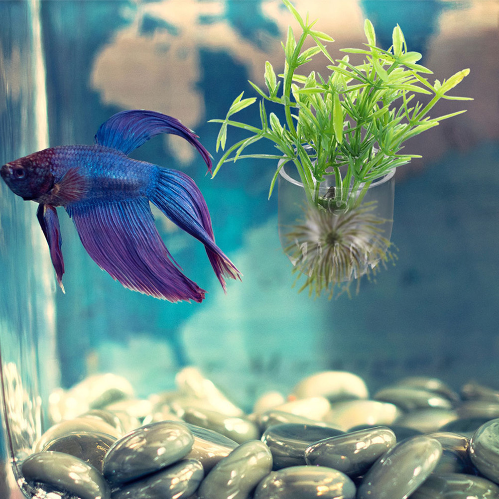 10Pcs Acrylic Aquarium Planter – Aquarium Planted Setup Bewertung und Preis