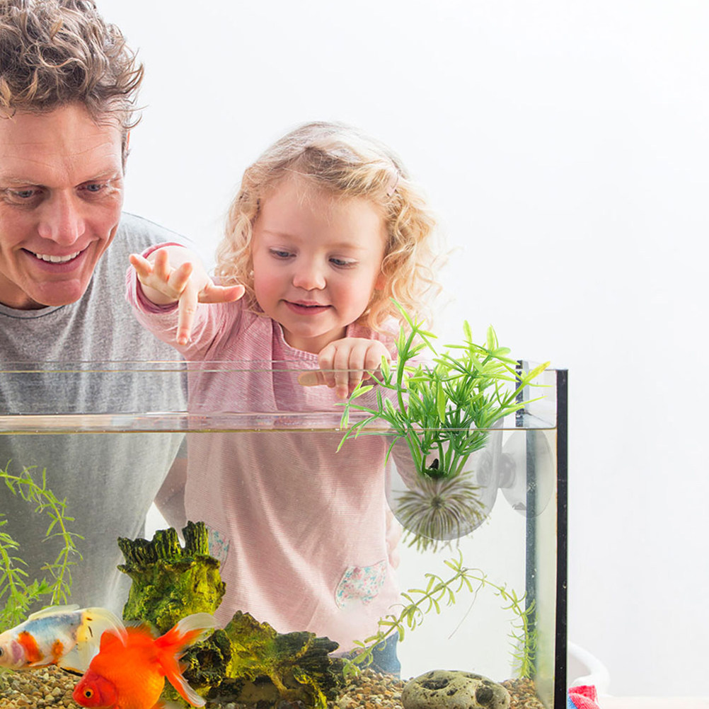 10Pcs Acrylic Aquarium Planter – Aquarium Planted Setup Bewertung und Preis