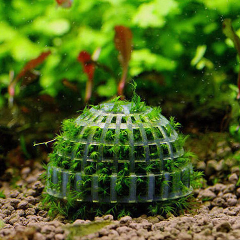 1pc New Aquatic Pet Supplies D – Aquarium Planted Tank Substrate Bewertung und Preis