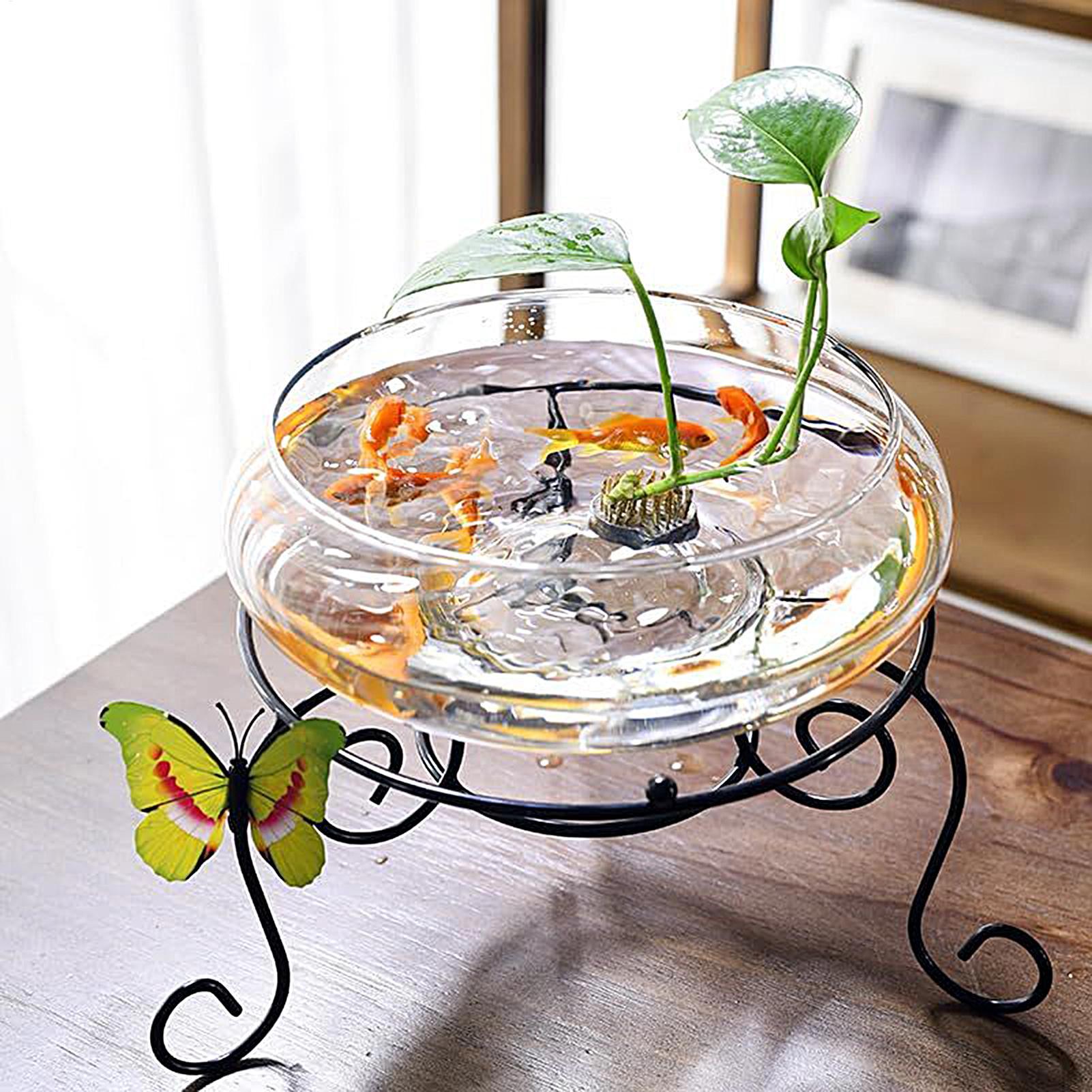Fish Glass Bowl Glass Large Hy – Aquarium Plant Original Bewertung und Preis