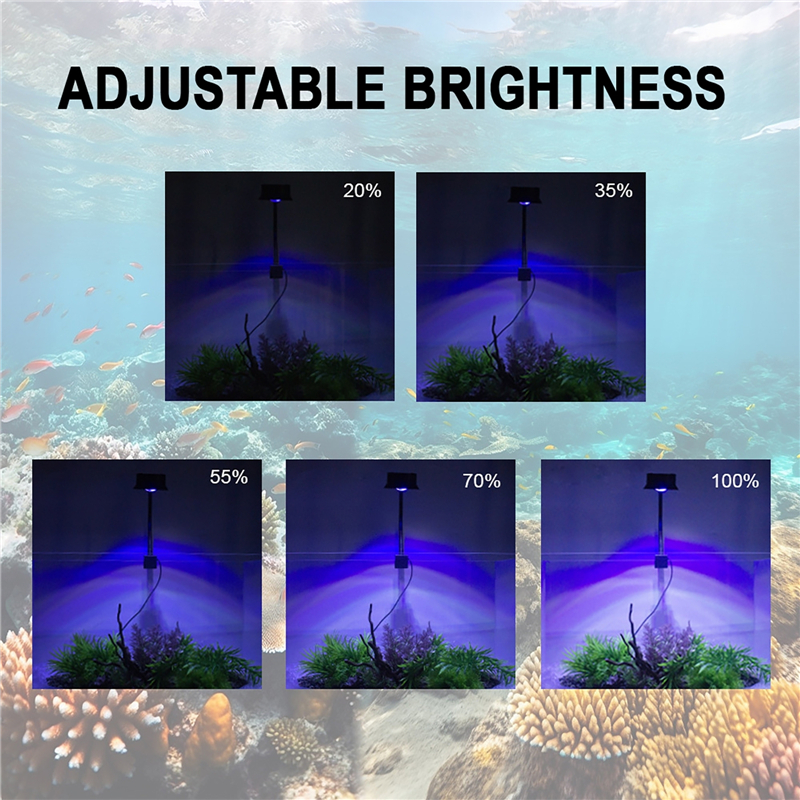 30W Aquarium Fish Tank Sea Wat – Aquarium Plant Iron Bewertung und Preis