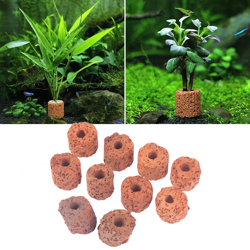 10Pcs Mini Aquatic Plant Ring  – Aquarium Planted Setup Bewertung und Preis