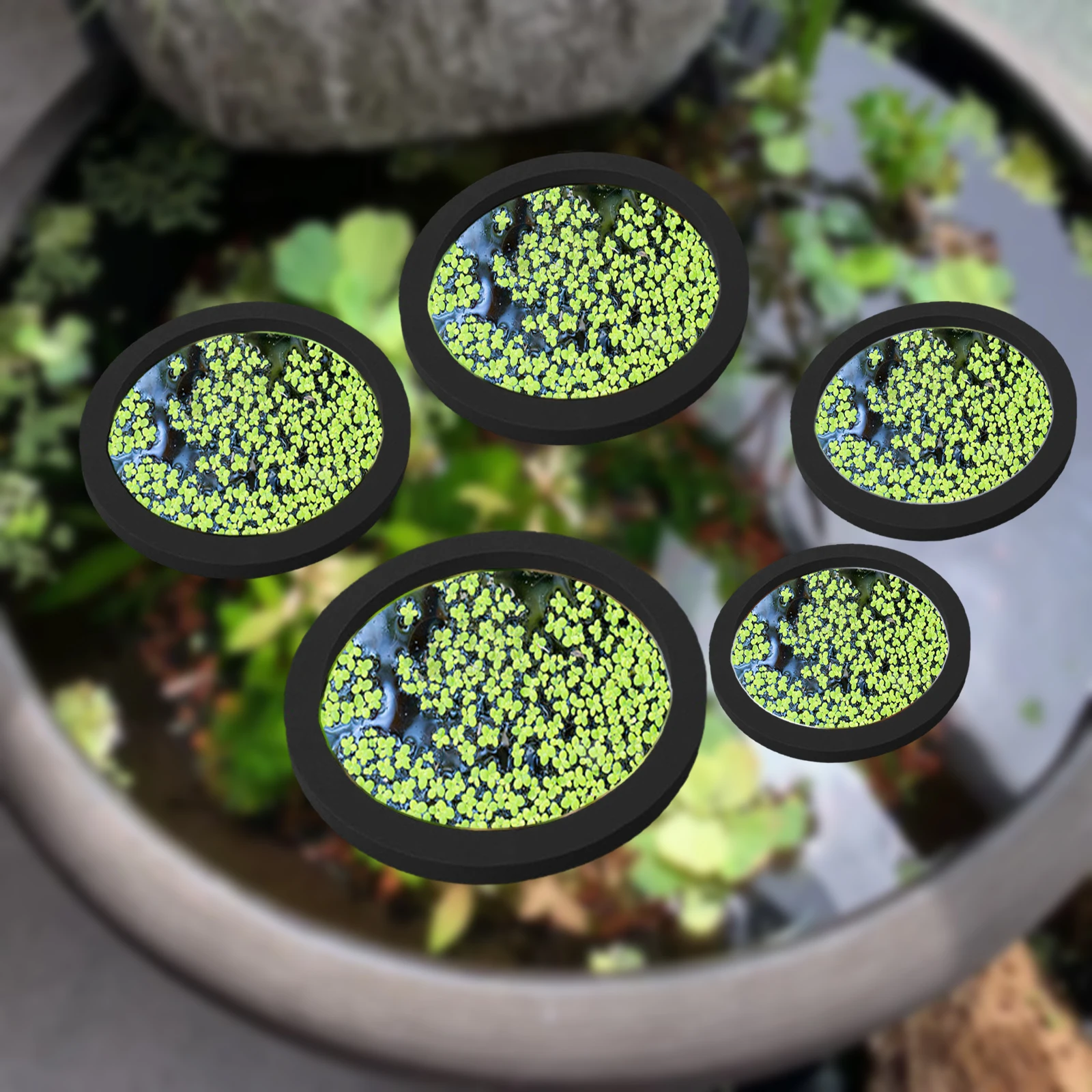 5Pcs EVA Fish Feeding Ring Aqu – Aquarium Plant Original Bewertung und Preis