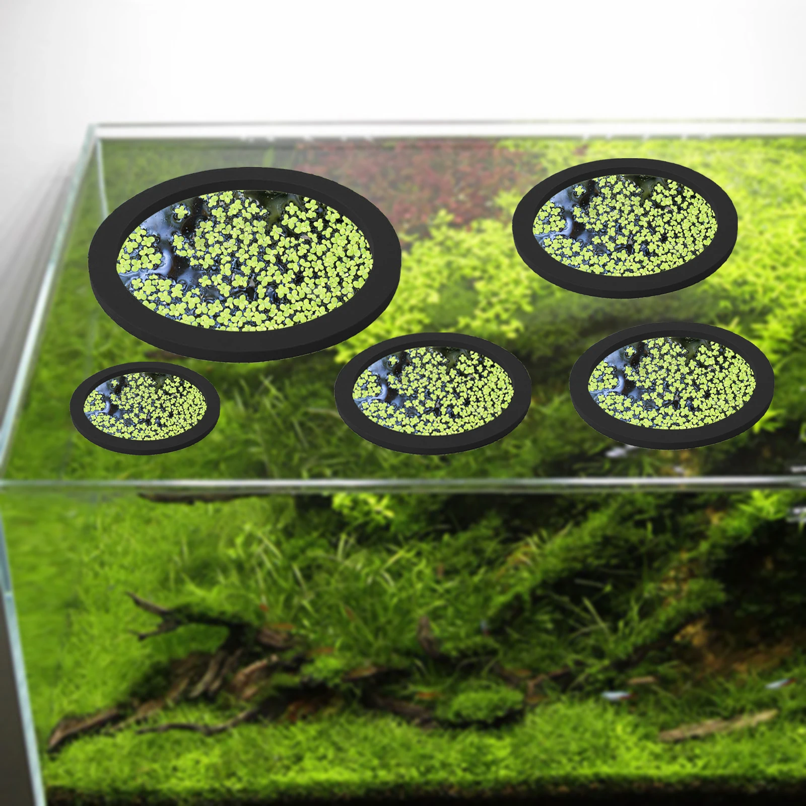 5Pcs EVA Fish Feeding Ring Aqu – Aquarium Plant Original Bewertung und Preis