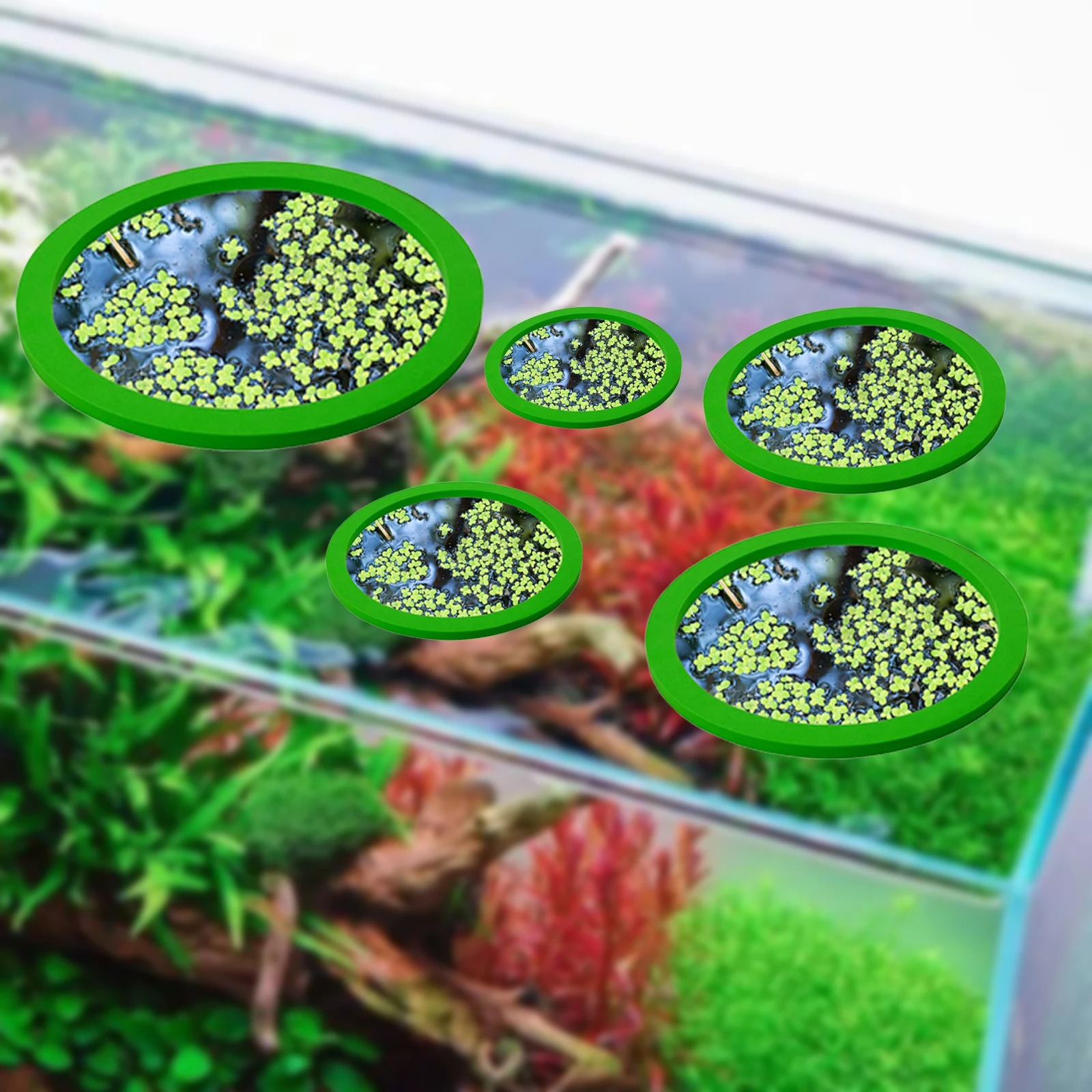 5Pcs EVA Fish Feeding Ring Aqu – Aquarium Plant Original Bewertung und Preis