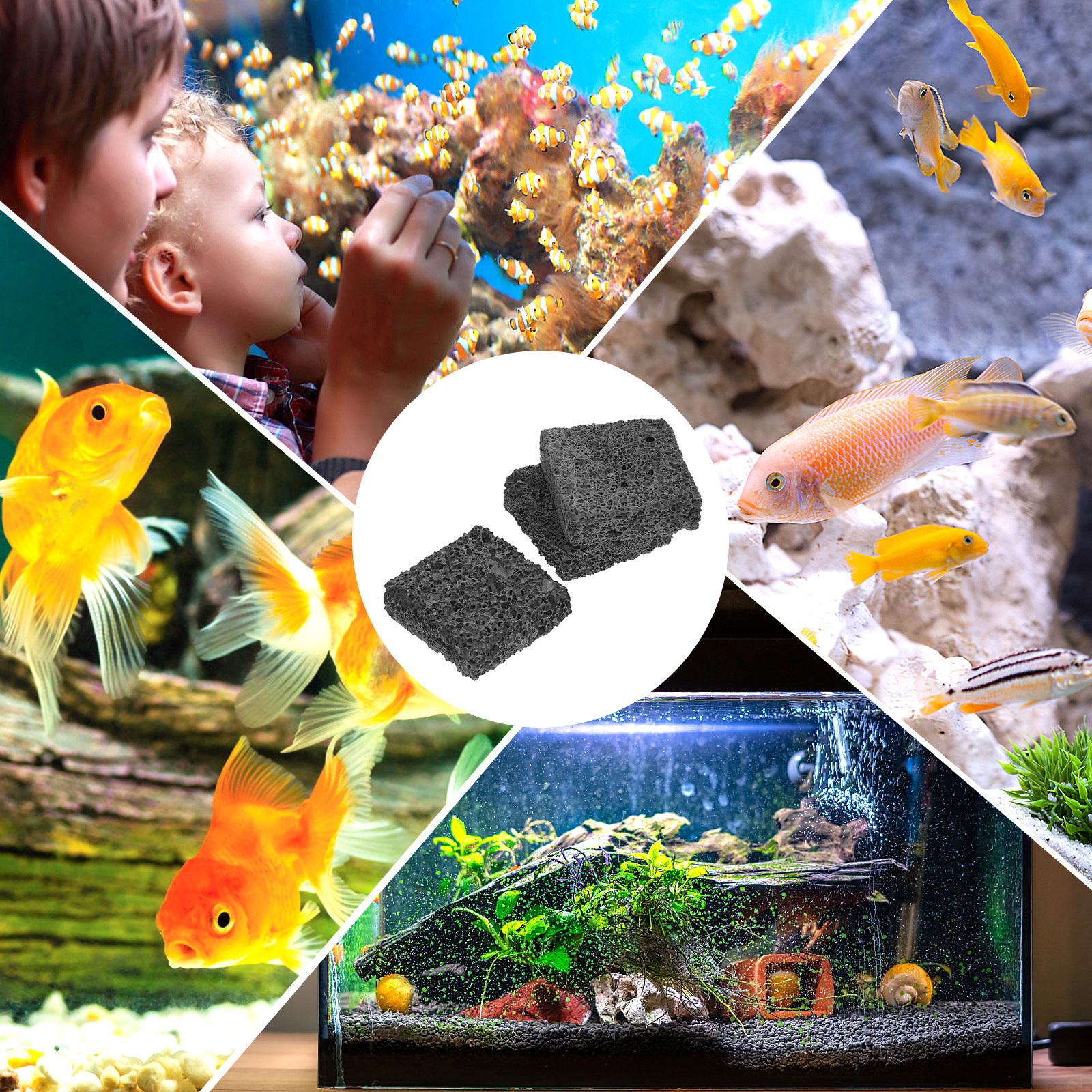 3Pcs Volcanic Rock Aquascaping – Planted Aquarium Anubias Bewertung und Preis