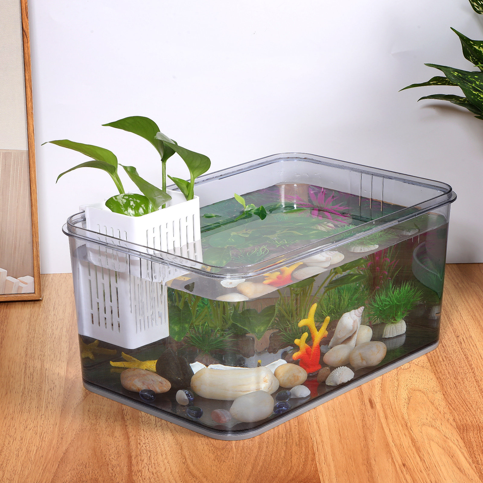 2Pcs Aquatic Plant Basket Hang – Aquarium Planted Setup Bewertung und Preis