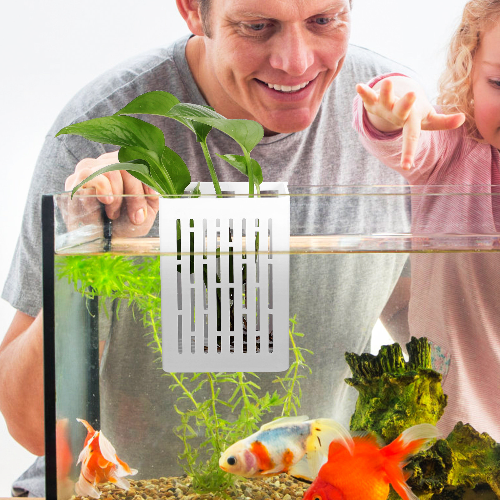 2Pcs Aquatic Plant Basket Hang – Aquarium Planted Setup Bewertung und Preis