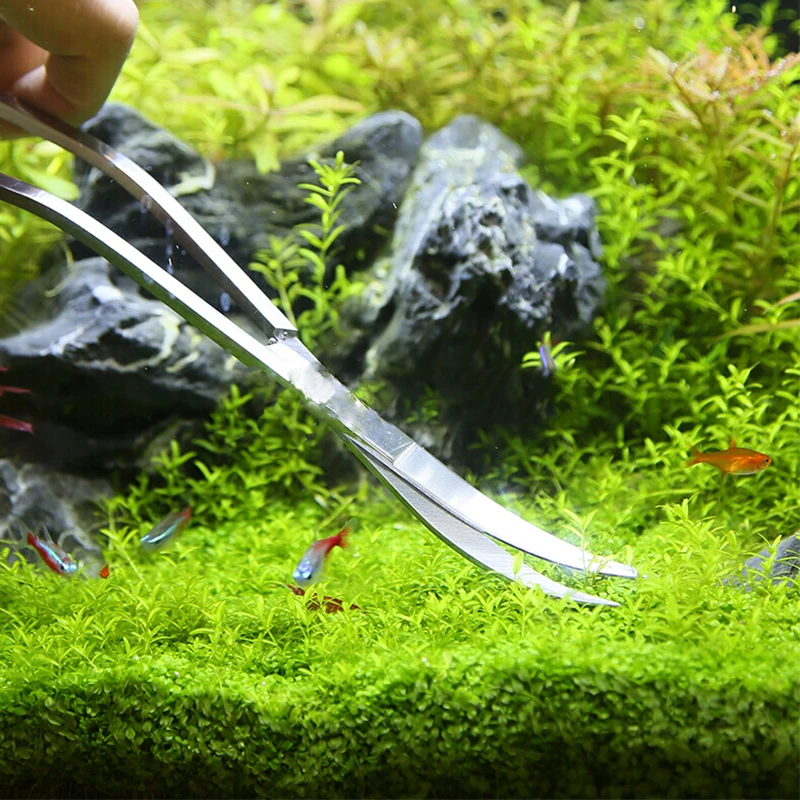 Aquarium Scissor Tools Fish Ta – Aquarium Plant Grass Bewertung und Preis