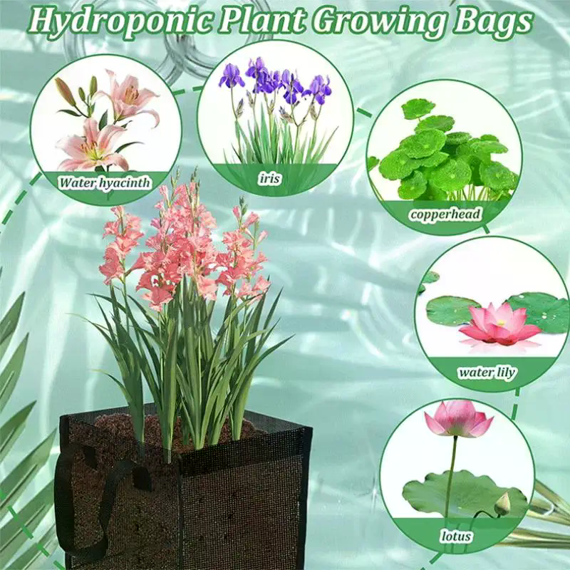 4 Pcs Black Mesh Pond Planting – Aquarium Plant Original Bewertung und Preis