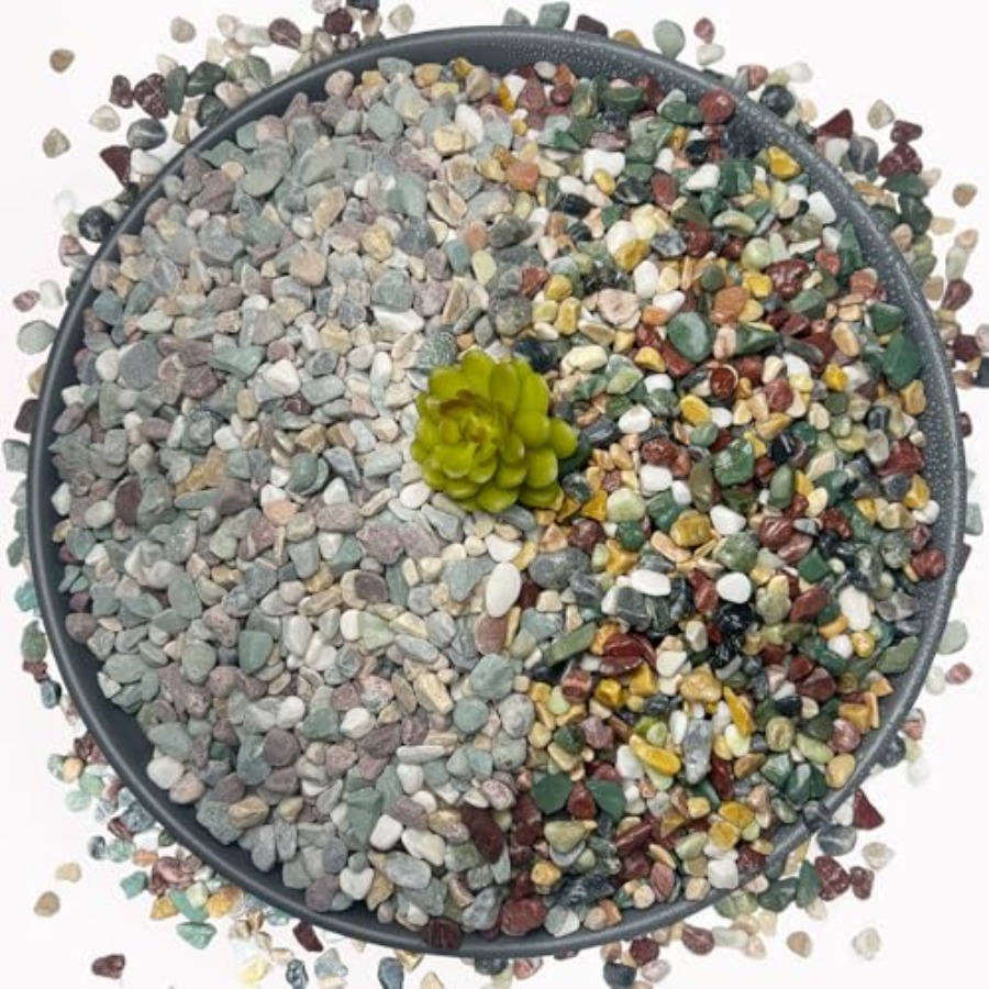 45LB Succulents Rocks for Plan – Planted Aquarium With Gravel Bewertung und Preis